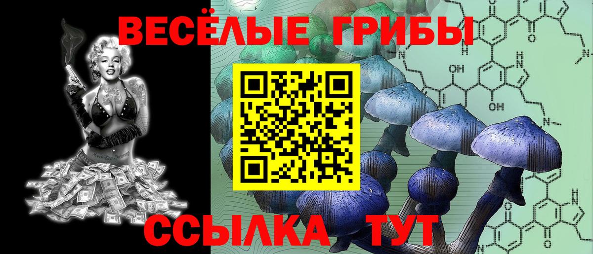 Псилоцибиновые грибы Cubensis Мичуринск
